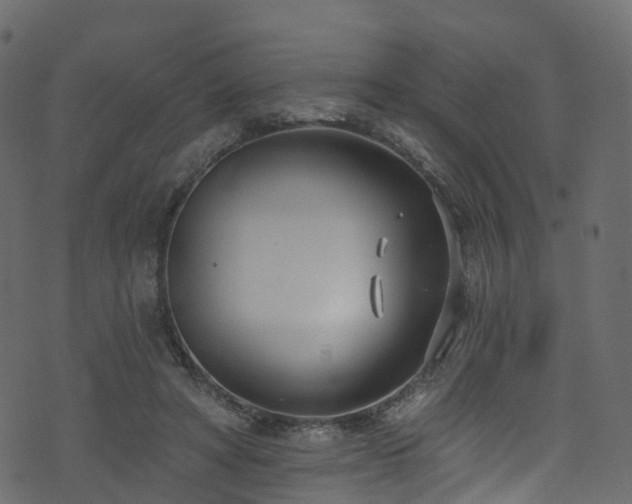 X0000074240402200608251144