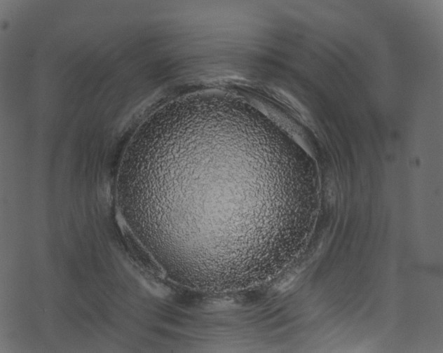 X0000074240405200608251143