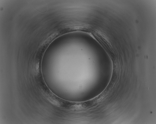 X0000074240406200608251143