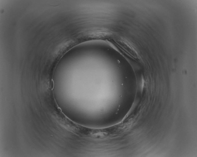 X0000074240407200608251143