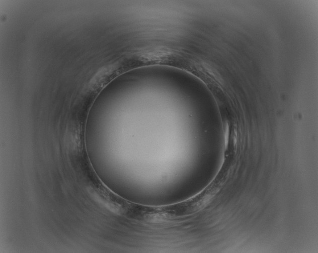 X0000074240408200608251143