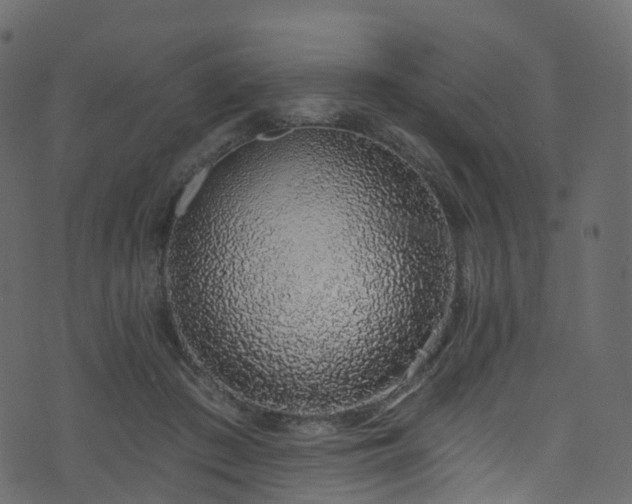 X0000074240409200608251143