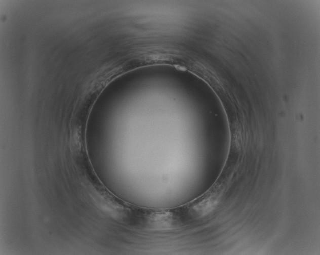 X0000074240410200608251143