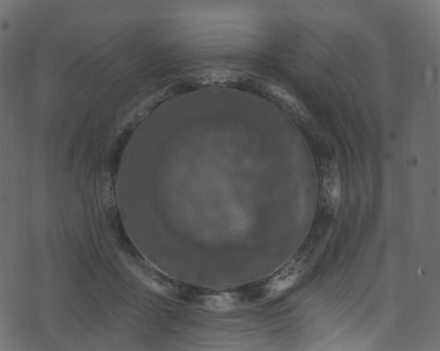 X0000074240411200608251143