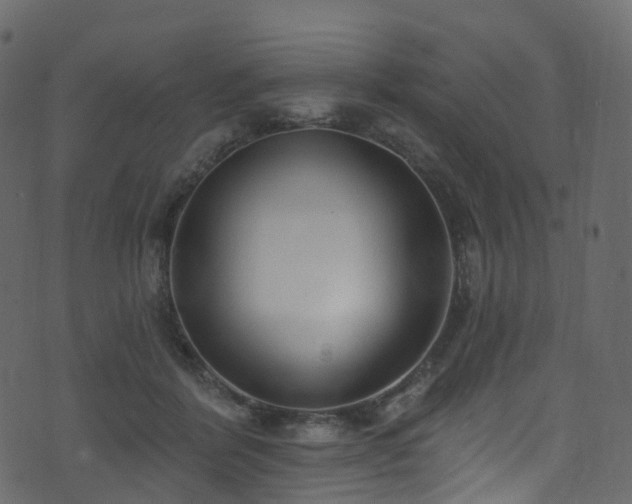 X0000074240412200608251143