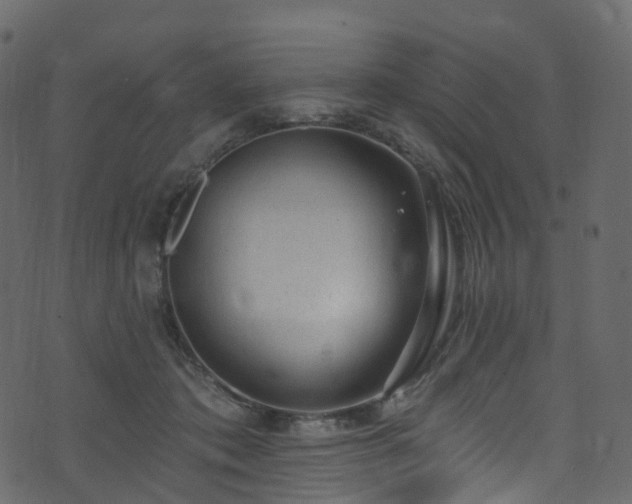 X0000074240413200608251143