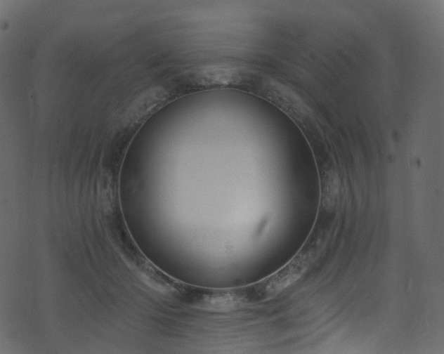 X0000074240414200608251143