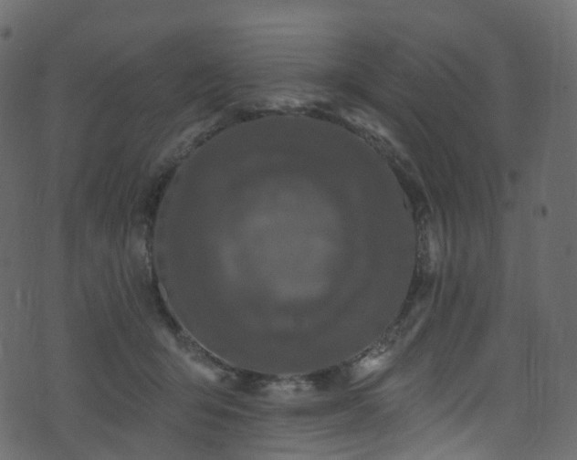 X0000074240415200608251143