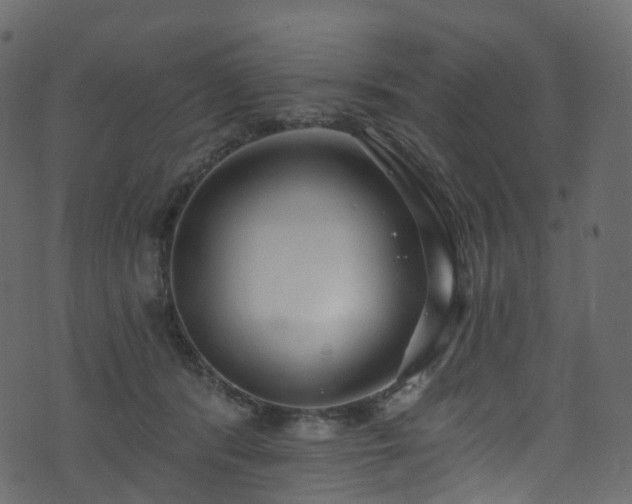 X0000074240416200608251143