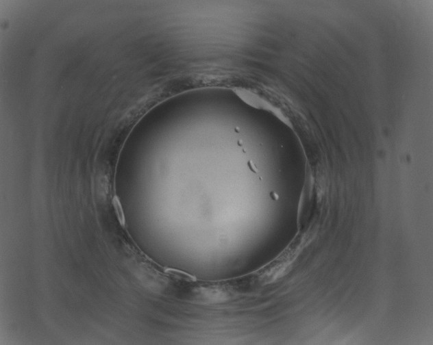 X0000074240417200608251143