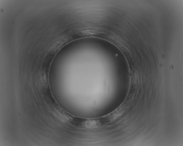 X0000074240418200608251143