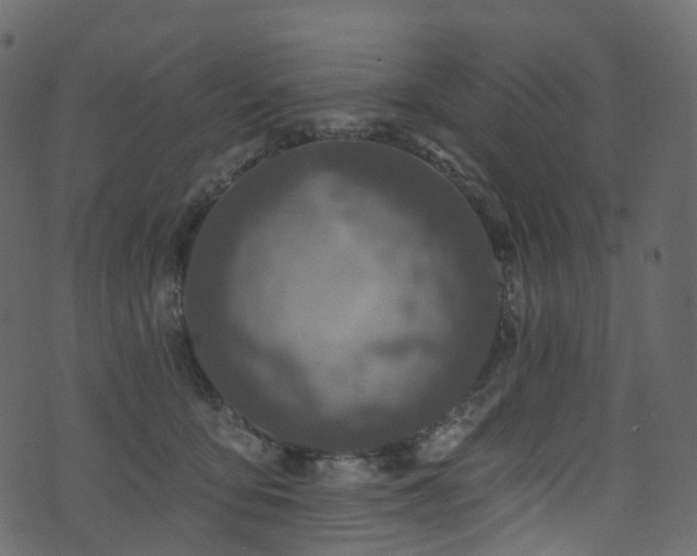 X0000074240419200608251143