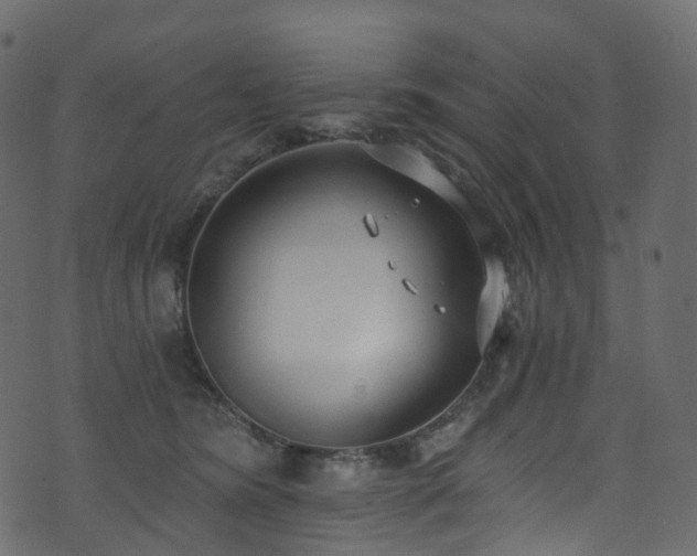 X0000074240420200608251143