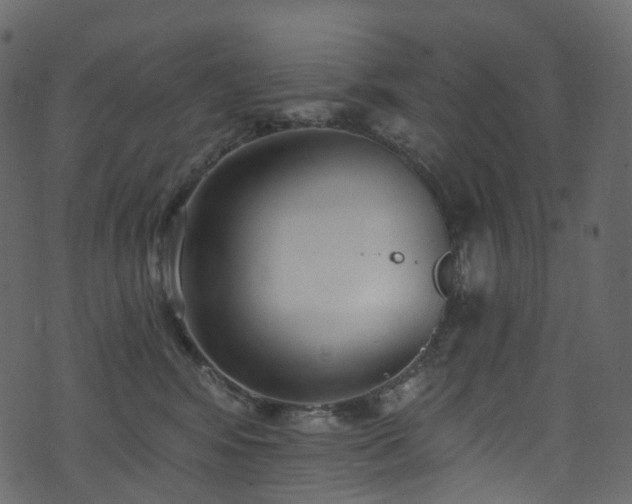 X0000074240424200608251143