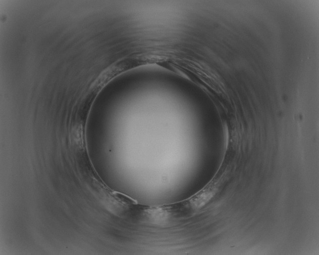 X0000074240425200608251143