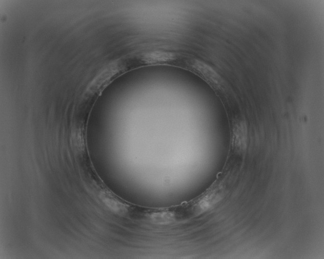 X0000074240426200608251143