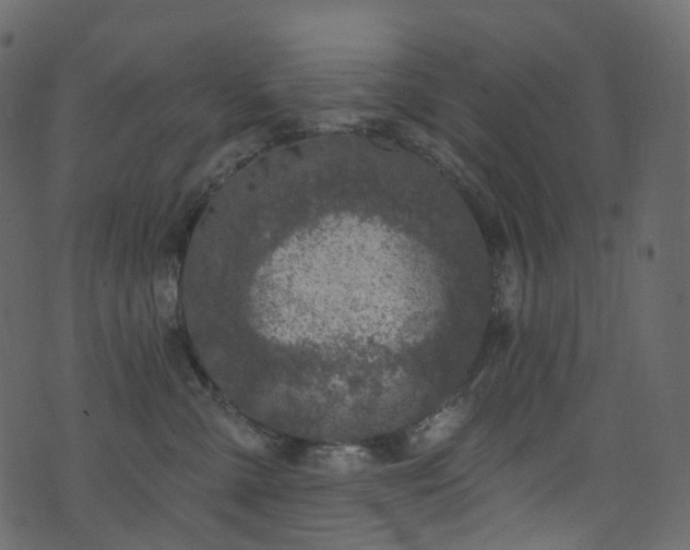 X0000074240427200608251143