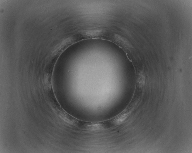 X0000074240428200608251143