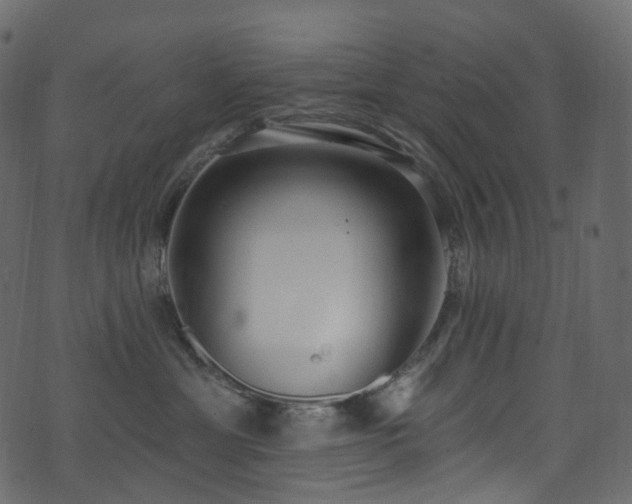 X0000074240429200608251143