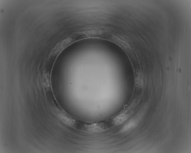 X0000074240430200608251143