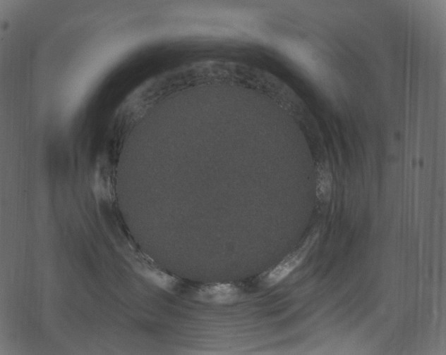 X0000074240431200608251143