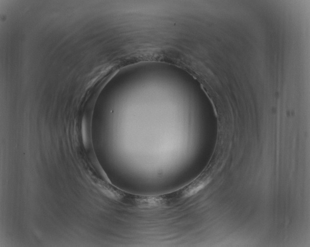 X0000074240432200608251143