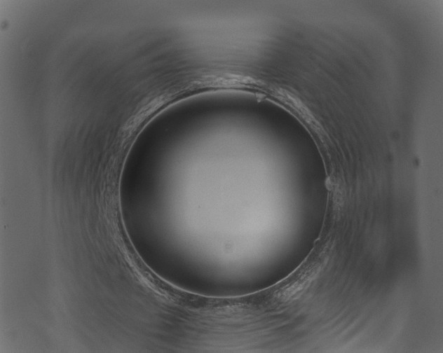 X0000074240433200608251142