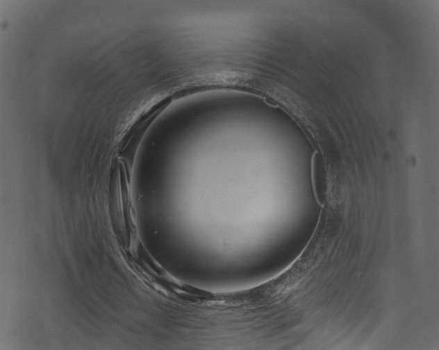 X0000074240434200608251142