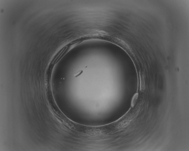 X0000074240435200608251142