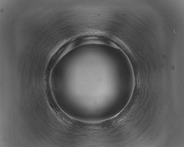 X0000074240436200608251142