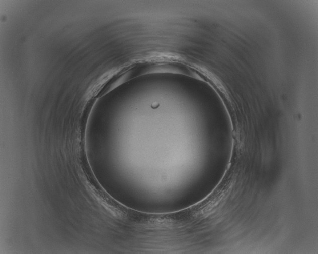 X0000074240437200608251142