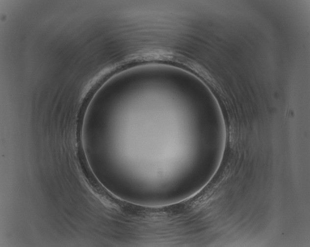 X0000074240438200608251142