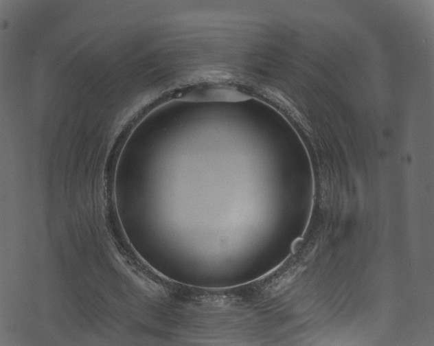 X0000074240439200608251142