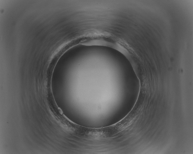 X0000074240440200608251142