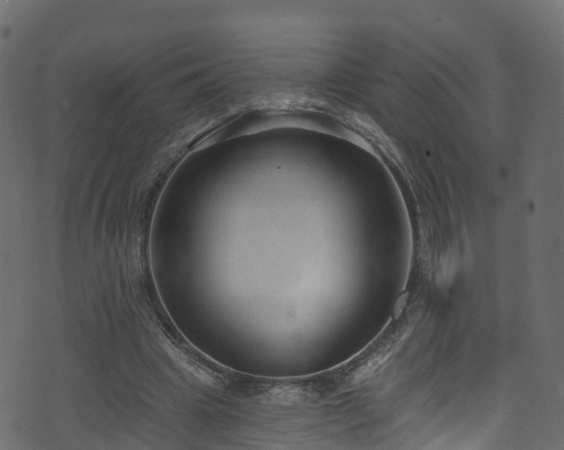 X0000074240441200608251142