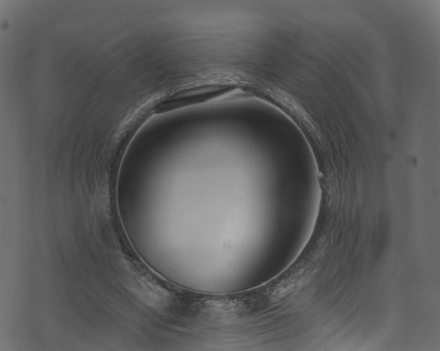 X0000074240442200608251142