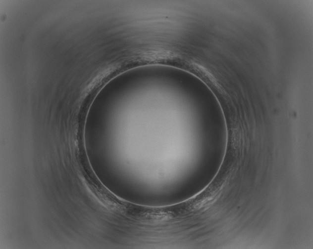 X0000074240443200608251142