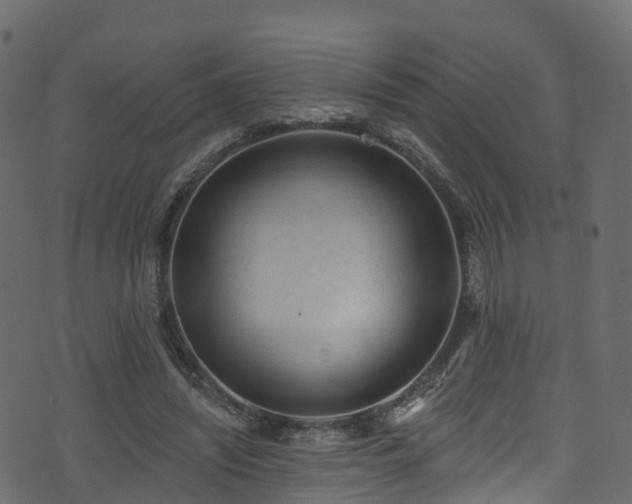 X0000074240444200608251142