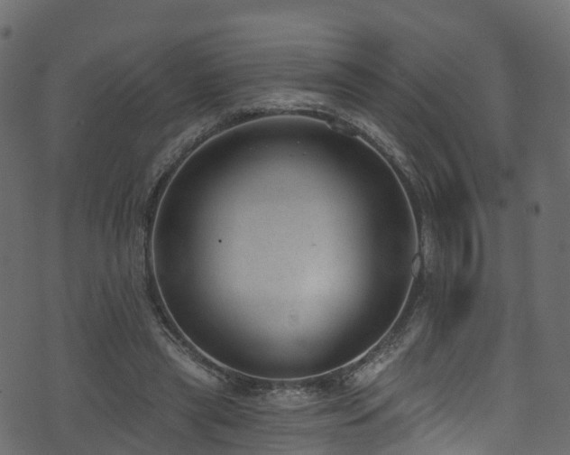 X0000074240445200608251142