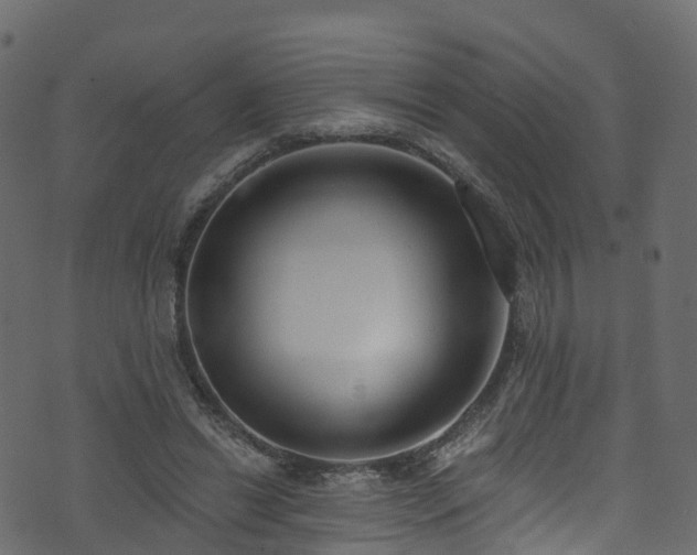 X0000074240446200608251142