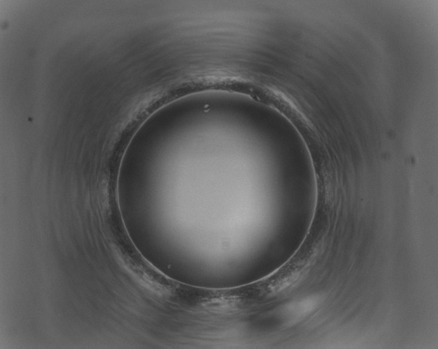 X0000074240447200608251142