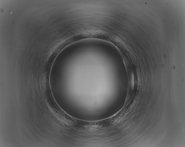 X0000074240448200608251143