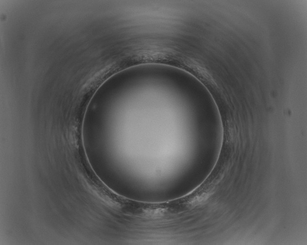 X0000074240450200608251143