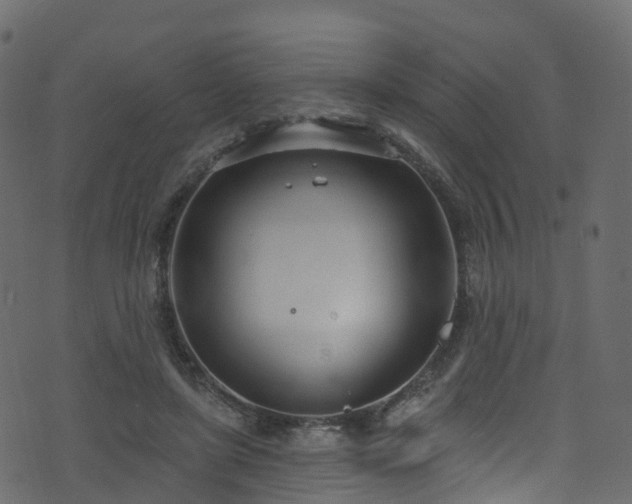 X0000074240451200608251143