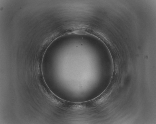 X0000074240453200608251143