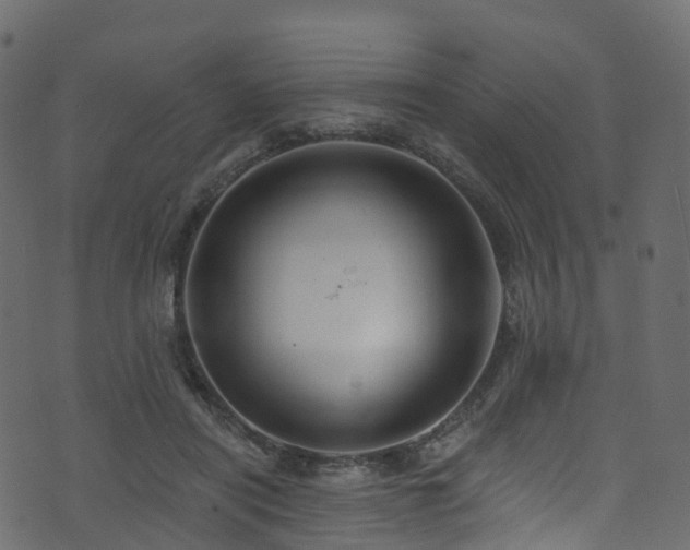 X0000074240454200608251143