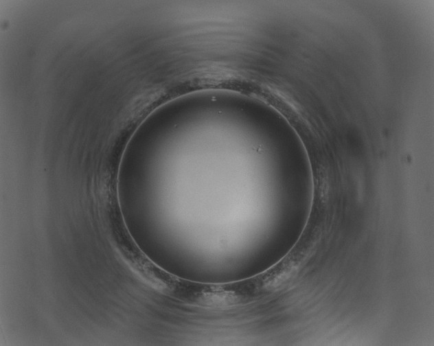 X0000074240455200608251143