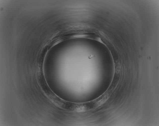 X0000074240456200608251143