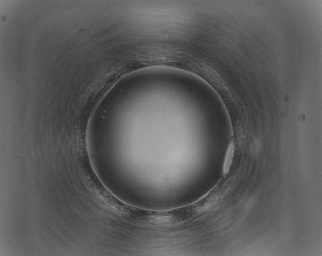 X0000074240457200608251143