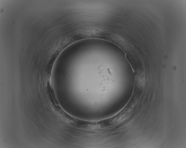 X0000074240458200608251143